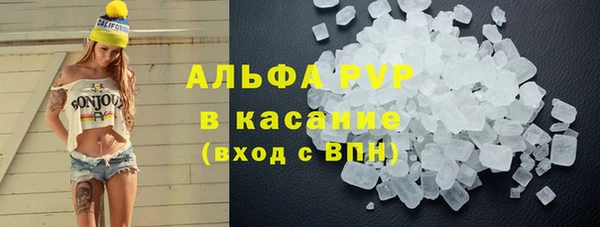 стафф Богородицк