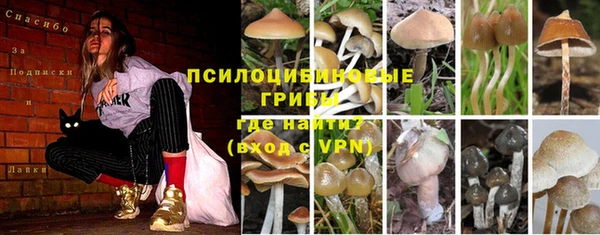 стафф Богородицк