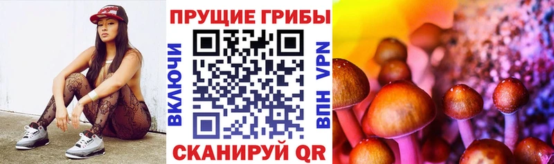 Купить закладки  Северо-Курильск  Галлюциногенные грибы MAGIC MUSHROOMS 
